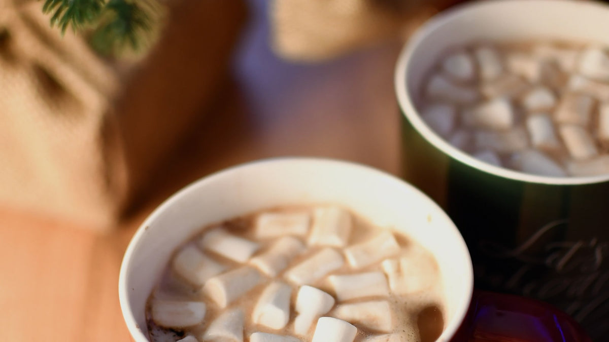 Two mugs of hot cocoa with marshmallows beneath Christmas greenery