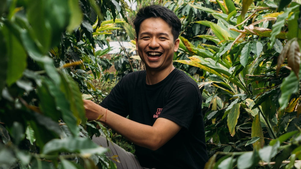 Why Indonesian Coffee Tastes Herbal and Spicy: Wet-Hulling Explained